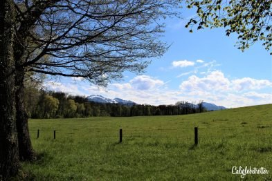 Herrenchiemsee Palace | Castles of King Ludwig II of Bavaria | Bavarian Castles | Castles in Bavaria | Top Germany Castles | German Castles to Visit | "Mad" King Ludwig II's castles | Places to Visit in Germany | #Herrenchiemsee #Schloss #Bavaria #Germany - California Globetrotter