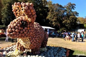 Ludwigsburg Palace Pumpkin Festival (Kürbisfest) | Ludwigsburg Palace Pumpkin Festival | World's LARGEST Pumpkin Festival | Day Trip from Stuttgart | Things to do in Autumn in Germany | Pumpkin Cuisine | Pumpkin Food | Pumpkin Contests | Day Trip from Munich | Day Trip from Frankfurt | Autumn Activities in Germany | Autumn in Germany | Fall in Germany | Herbst in Deutschland | Castles in Germany | #Ludwigsburg #BadenWürttemberg #Germany - California Globetrotter