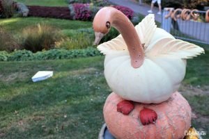 Ludwigsburg Palace Pumpkin Festival (Kürbisfest) | Ludwigsburg Palace Pumpkin Festival | World's LARGEST Pumpkin Festival | Day Trip from Stuttgart | Things to do in Autumn in Germany | Pumpkin Cuisine | Pumpkin Food | Pumpkin Contests | Day Trip from Munich | Day Trip from Frankfurt | Autumn Activities in Germany | Autumn in Germany | Fall in Germany | Herbst in Deutschland | Castles in Germany | #Ludwigsburg #BadenWürttemberg #Germany - California Globetrotter