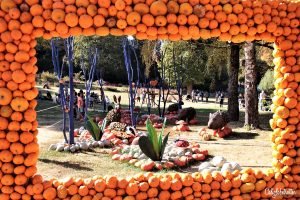 Ludwigsburg Palace Pumpkin Festival (Kürbisfest) | Ludwigsburg Palace Pumpkin Festival | World's LARGEST Pumpkin Festival | Day Trip from Stuttgart | Things to do in Autumn in Germany | Pumpkin Cuisine | Pumpkin Food | Pumpkin Contests | Day Trip from Munich | Day Trip from Frankfurt | Autumn Activities in Germany | Autumn in Germany | Fall in Germany | Herbst in Deutschland | Castles in Germany | #Ludwigsburg #BadenWürttemberg #Germany - California Globetrotter