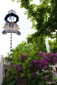 The Medieval Wine Town of Esslingen am Neckar | Day Trips from Stuttgart | Day Trip from Frankfurt | Half-timbered Towns in Germany | Small Towns in Germany | German Fairy-tale Towns | Best Places to Visit in Germany | Towns to Visit in Germany | Wine Towns in Germany | Europe's Most Beautiful Towns | #Esslingen #BadenWürttemberg #Germany - California Globetrotter