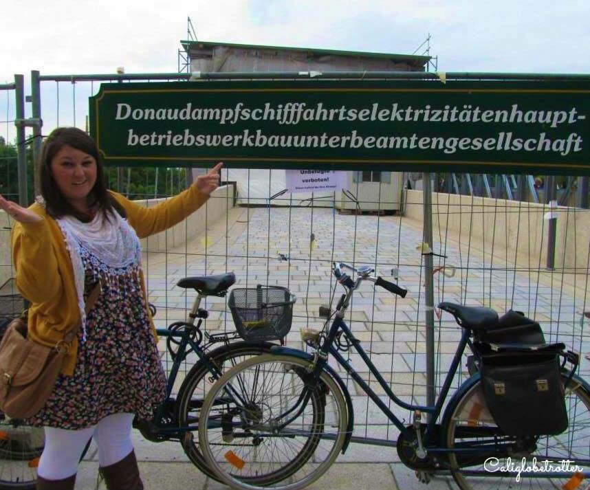 Longest german word - Donaudampfschifffahrtselektrizitätenhauptbetriebswerkbauunterbeamtengesellschaft
