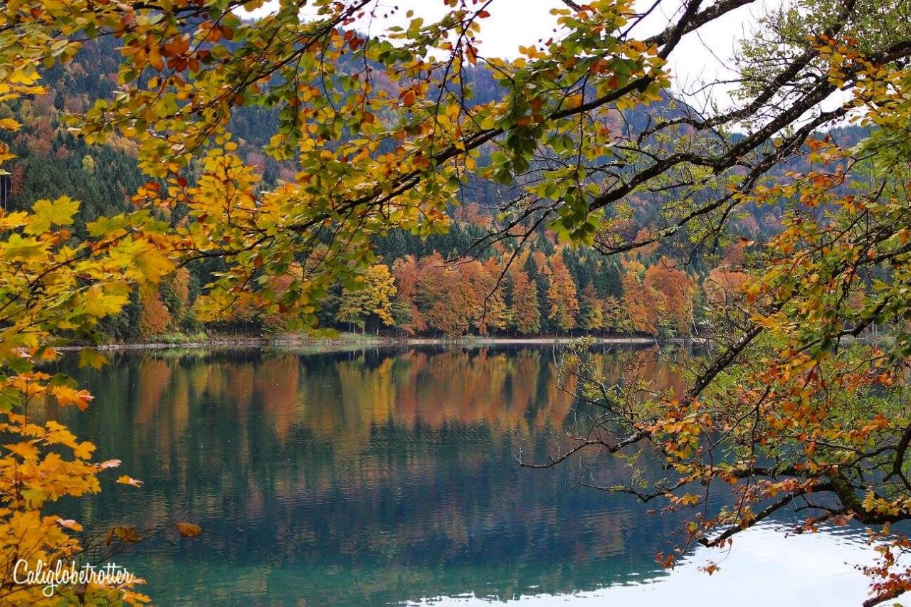 Schloss Hohenschwangau, Schangau, Bavaria, Germany - California Globetrotter
