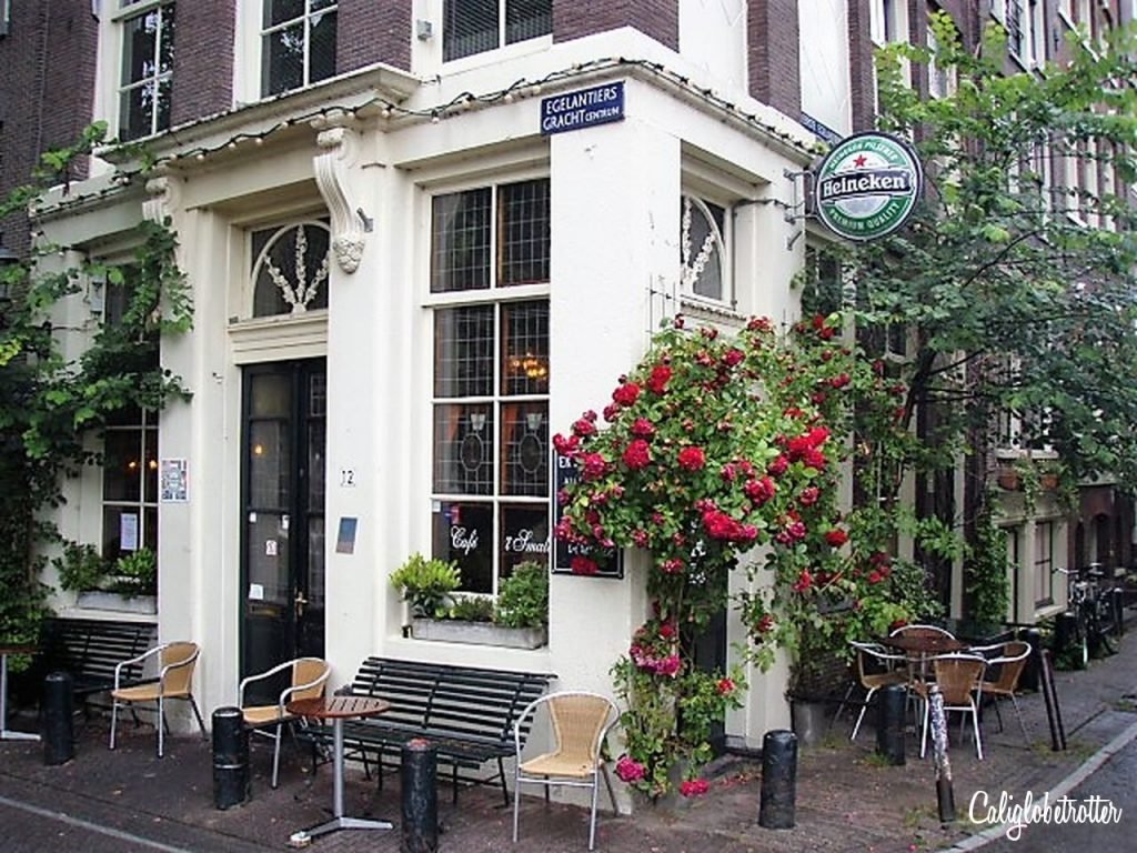 Amsterdam: Strolling the Canals | Canal Cities in Europe | What to do in Amsterdam | 1 day in Amsterdam | Quick Things to do in Amsterdam | Where to Eat in Amsterdam | Sightseeing in Amsterdam | Best Cities to Visit in Europe | Canals of Amsterdam | #Amsterdam #Netherlands #Holland - California Globetrotter