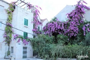 Diocletian's Palace, Split, Croatia | Best Cities in Croatia to Visit | Balkan Cities | Croatia Road Trip | Things to do in Split | Things to do in Diocletian's Palace | Where to eat in Split | Best Beaches in Split, Croatia | #Split #Croatia #Europe #Balkans #BalkanTravel - California Globetrotter