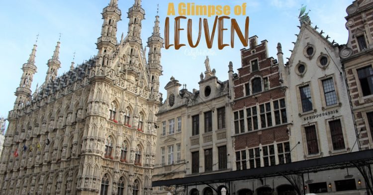 Leuven, Belgium | Easy Day Trip from Brussels | Best Places to Visit in Belgium | Best Belgian Cities to Visit | Where to Go in Belgium | What to do in Leuven, Belgium | Things to See in Leuven | Hidden Gems in Europe | #Leuven #Belgium - California Globetrotter