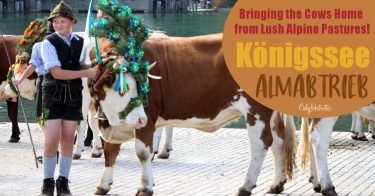 Königssee Almabtrieb | Things to do in Germany in Autumn | Bavarian Traditions in the Fall | Alpine Traditions in Germany | Returning of the Cows Headdress Celebration | Kranzkuh | Traditional Lederhosen & Dirndl | Best Things to do in Fall in the Alps | Bavarian Alps Traditions | #Königssee #Berchtesgaden #Bavaria #Germany #Europe - California Globetrotter