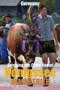Königssee Almabtrieb | Things to do in Germany in Autumn | Bavarian Traditions in the Fall | Alpine Traditions in Germany | Returning of the Cows Headdress Celebration | Kranzkuh | Traditional Lederhosen & Dirndl | Best Things to do in Fall in the Alps | Bavarian Alps Traditions | #Königssee #Berchtesgaden #Bavaria #Germany #Europe - California Globetrotter