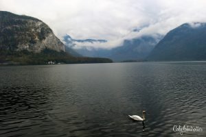 Autumn in Hallstatt, Austria | When to Visit Hallstatt | Austria's Most Instagrammable Town | Day Trips in Austria | Things to do in Hallstatt | Where to eat in Hallstatt | Top Attractions in Hallstatt | Austria's Most Beautiful Town - California Globetrotter