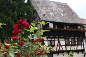 Blaubeuren's Blautopf | Mystical Places to Visit in Germany | Unique Places to Visit in Germany | Half-timbered Towns in Germany | German Timber-frame Road | Germany's Hidden Gems | Day Trips from Stuttgart | Day Trips from Munich | Germany's Natural Wonders | #Blaubeuren #Blautopf #BadenWürttemburg #Germany - California Globetrotter