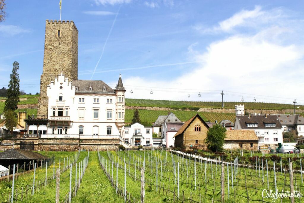 The Darling Storybook Town of Rüdesheim am Rhine – California Globetrotter