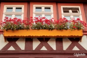 Wernigerode, Saxony-Anhalt | The Most Picturesque Half-timbered Towns in Germany | Cute Towns in Northern Germany | Fairytale Towns in Germany | Disney-esque Towns in Germany | Small Towns in Germany | Disney Fairytale Towns | Small Towns vs Big Cities in Germany | Top Places to Visit in Germany | Small Towns to Visit in Germany | Fachwerkstäte | Deutsche Fachwerkstraße | #Germany #Halftimbered - California Globetrotter