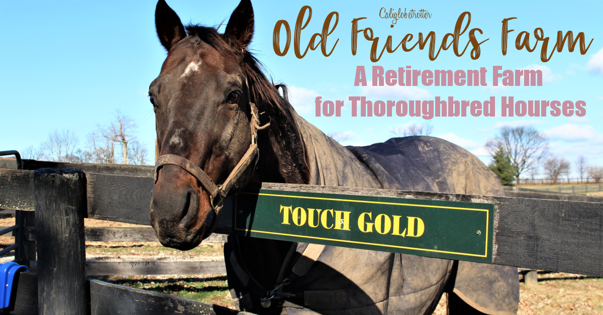 Why Everyone Should Visit Old Friends Farm California Globetrotter