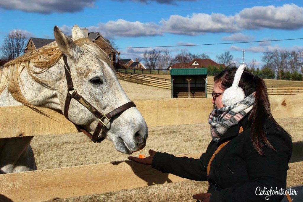 old friends farm tours