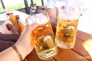 The ULTIMATE List of Day Trips from Munich - Schloss Neuschwanstein - The Disney Castle - Bavaria, Germany - Cities Near Munich to Visit - Weekend Trips from Munich - Best day Trips from Munich - European Cities Near Munich - California Globetrotter