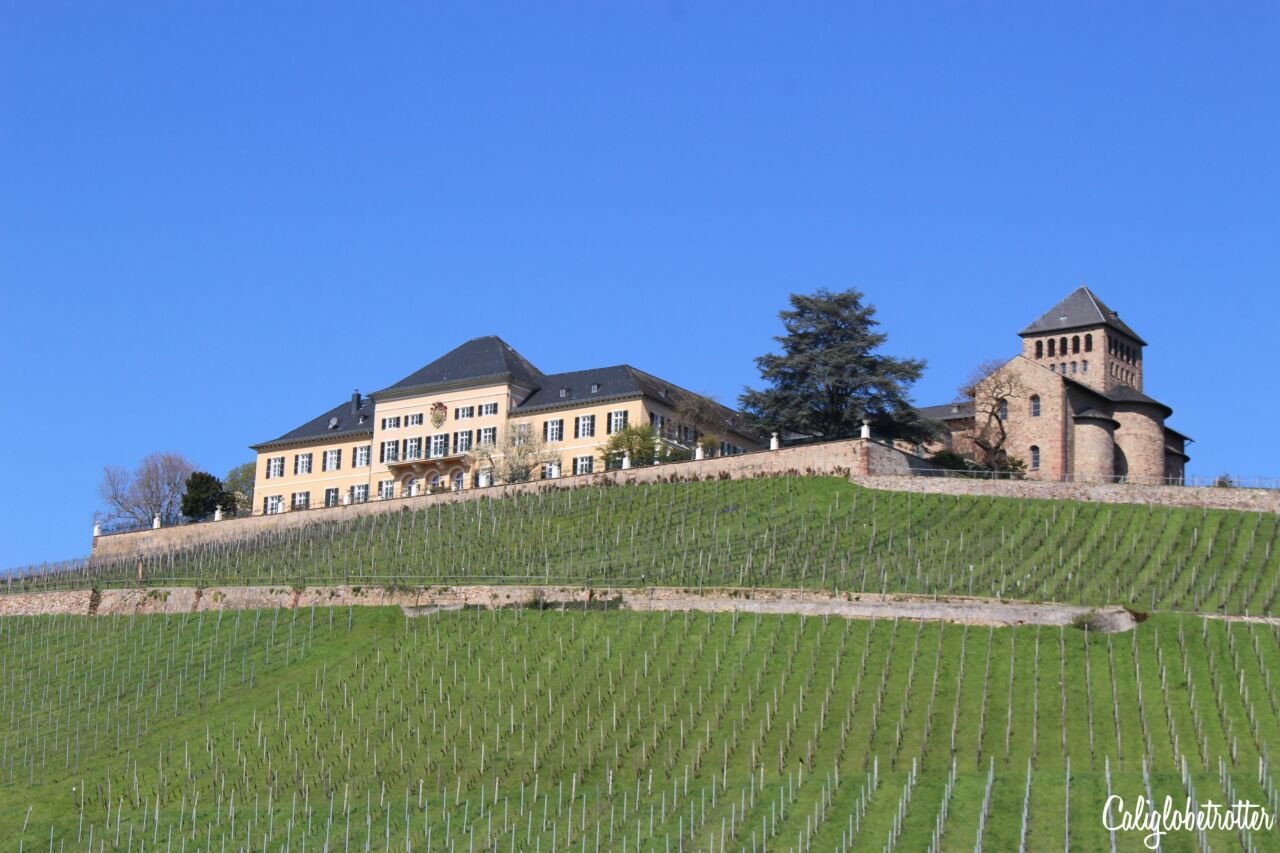 Superlatives of Germany | Schloss Johannisberg | Interesting Facts about Germany | Unique Things to do in Germany | Germany Superlatives | Germany Facts | Facts Germany | Fun Facts for Kids | Germany Fun Facts | Germany Facts and Information | History Facts about Germany | #Germany #Europe - California Globetrotter