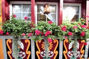 Visiting Appenzell & Hiking Ebenalp to Aescher | Most Colorful Village in Switzerland | Most Beautiful Restaurant in the World | What to do in Appenzell | Honeymoon Destinations in Appenzell | Unique Sights in Switzerland | Underrated Towns in Switzerland | Best Hikes in Switzerland | #Switzerland #Appenzell #Aescher #Ebenalp #HikinginSwitzerland #Europe - California Globetrotter