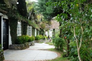 Afternoon Teas Around the World - Afternoon Tea in Cameron Highlands in Malaysia - Afternoon Tea in Malaysia - Planter's Country Hotel Afternoon tea Rajah Brooke Room by Kat Pegi Mana: Where Is Kat Going - The Best Afternoon Teas - High Tea - Luxurious Afternoon Teas - California Globetrotter
