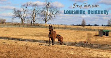 Day Trips from Louisville, KY | Things to do near Louisville | Bourbon, Horses & History | Kentucky Bourbon Trail | Midwestern Cities | Cities to Visit in the Midwest | Top US Cities to Visit | Small Town USA | #Kentucky #BourbonCountry #TravelUSA - California Globetrotter