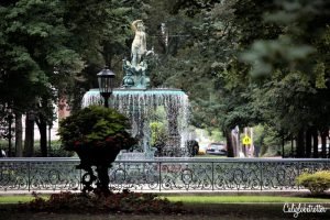 Old Louisville Victorian Homes | Downtown Louisville City Guide | Neighborhood Guide to Louisville, Kentucky | Street art in Louisville | Bars & Restaurants in Louisville | What to do in Louisville, KY | Explore like a Local | The Coolest Part of Louisville | Kentucky Bourbon Trail | #Louisville #Kentucky #USATravel - California Globetrotter