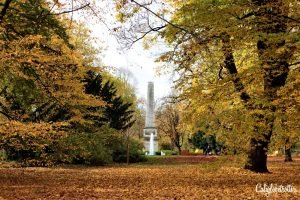 Regensburg Herbst | 10+Places to Visit in Southern Germany in Autumn | Autumn in Germany | Fall in Germany | Germany's "Golden October" Altweibersommer | Indian Summer in Germany | Fall Festivals in Germany | Traditional Autumn Celebrations in Germany | Autumn in Southern Germany | Pumpkin Festival in Gremany | #Herbst #Autumn #Germany - California Globetrotter