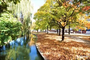 Munich Hofgarten | 10+Places to Visit in Southern Germany in Autumn | Autumn in Germany | Fall in Germany | Germany's "Golden October" Altweibersommer | Indian Summer in Germany | Fall Festivals in Germany | Traditional Autumn Celebrations in Germany | Autumn in Southern Germany | Pumpkin Festival in Gremany | #Herbst #Autumn #Germany - California Globetrotter