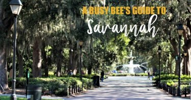 A Busy Bee's Guide to Savannah, Georgia | Things to do in Savannah | 24 hours in Savannah | Savannah City Guide | Savannah Itinerary | Getting Around Savannah | Where to Eat in Savannah | Savannah Historic District | Downtown Savannah | #Savannah #Georgia #TravelUSA - California Globetrotter