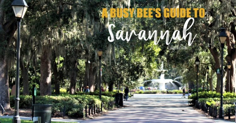 A Busy Bee's Guide to Savannah, Georgia | Things to do in Savannah | 24 hours in Savannah | Savannah City Guide | Savannah Itinerary | Getting Around Savannah | Where to Eat in Savannah | Savannah Historic District | Downtown Savannah | #Savannah #Georgia #TravelUSA - California Globetrotter