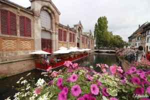 Beautiful Things to See & Do in Colmar, France | 1 day Colmar Itinerary | Colmar City Guide | Colmar Travel Guide | Best of Colmar, France | What to Eat in Colmar | Things to do in Colmar | Alsace Wine Route Itinerary | Visit Colmar | Visit Alsace | Vins d'Alsace | Top Places to Visit in France | French Fairytale Villages | Beauty & the Beast Town | #Colmar #France - California Globetrotter