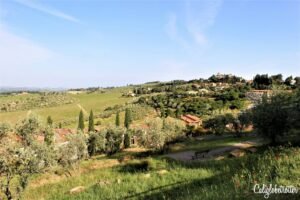 Panzano in Chianti | A Chianti Wine Trail Guide | Chianti Wine Road Guide | Chianti Villages to Visit | Chianti Wine | Chianti Classico | Villages in Tuscany to Visit | Day Trip from Florence | Day Trip from Siena | Chiantigiana | Tuscany Countryside | Wine Regions in Italy | Italian Wine Towns | Wine Tasting in Tuscany | Wine Tasting in Chianti | Towns to Visit in Chianti | What to Eat in Chianti | Wine Route Tuscany | Chianti Road Trip | Wineries in Tuscany | Wineries in Chianti - California Globetrotter