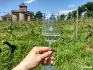 Exploring the Romantic Rhein Route in Germany | Schloss Johannisberg | Rheingau Wineries | Wineries in the Rheingau to Visit | Rhein Wine | Rhein Wineries to Visit | Town to Visit along the Rhein River | Romantic Rhine Valley Travel | Vineyards along the Rhein River | Castles on the Rhein River | Things to do in Germany | Best of Germany to Visit | Things to do on the Rhein River | Wine Tasting on the Rhein - California Globetrotter