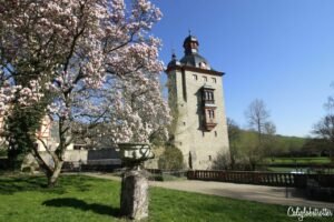 Exploring the Romantic Rhein Route in Germany | Schloss Vollrads | Rheingau Wineries | Wineries in the Rheingau to Visit | Rhein Wine | Rhein Wineries to Visit | Town to Visit along the Rhein River | Romantic Rhine Valley Travel | Vineyards along the Rhein River | Castles on the Rhein River | Things to do in Germany | Best of Germany to Visit | Things to do on the Rhein River | Wine Tasting on the Rhein - California Globetrotter
