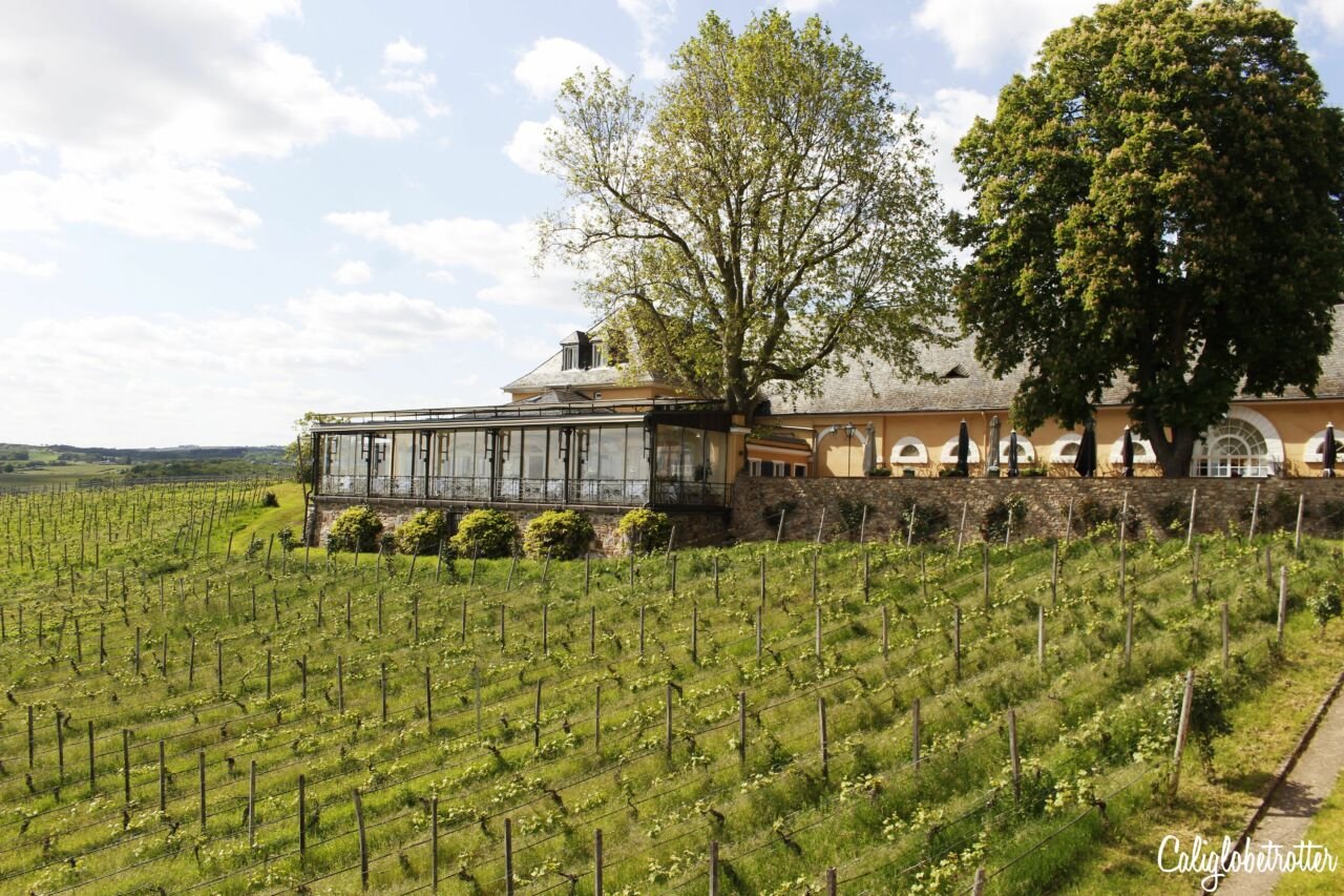 Schloss Johannisberg - The World's First Riesling Winery | Historic Wineries to Visit | Top 5 Wineries to Visit in the World | Best Wineries in Germany to Visit | Best Rheingau Wineries | Wineries to Visit in the Rheingau | Wineries along the Rhein River | Most Beautiful Wineries to Visit | Historic Wine Cellars | German Wineries to Visit | Best Riesling Wineries in Germany | Made in Rheingau | Made in Germany Wine - California Globetrotter
