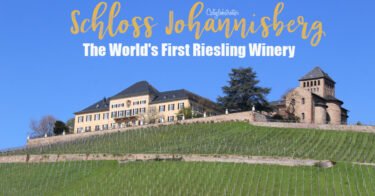 Schloss Johannisberg - The World's First Riesling Winery | Historic Wineries to Visit | Top 5 Wineries to Visit in the World | Best Wineries in Germany to Visit | Best Rheingau Wineries | Wineries to Visit in the Rheingau | Wineries along the Rhein River | Most Beautiful Wineries to Visit | Historic Wine Cellars | German Wineries to Visit | Best Riesling Wineries in Germany | Made in Rheingau | Made in Germany Wine | Day Trips from Frankfurt | Wineries near Frankfurt | Day Trips from Stuttgart | Day Trips from Cologne - California Globetrotter