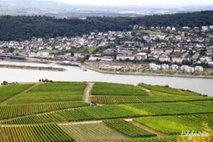 Exploring the Romantic Rhein Route in Germany | Niederdenkmal Monument | Rhein Ring Ticket | Rheingau Wineries | Wineries in the Rheingau to Visit | Rhein Wine | Rhein Wineries to Visit | Town to Visit along the Rhein River | Romantic Rhine Valley Travel | Vineyards along the Rhein River | Castles on the Rhein River | Things to do in Germany | Best of Germany to Visit | Things to do on the Rhein River | Wine Tasting on the Rhein - California Globetrotter