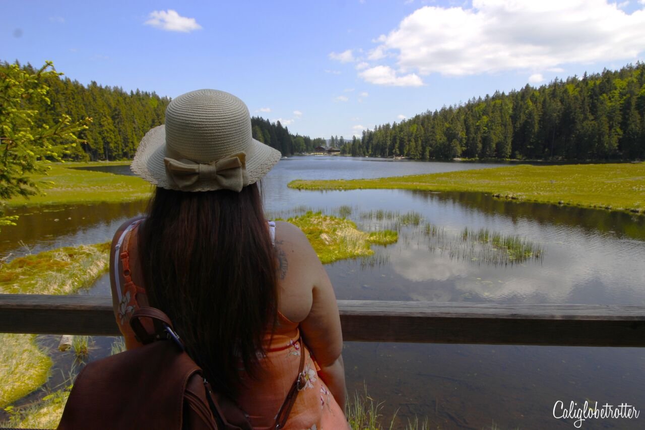 Why Repatriating Was the Right Thing to Do / Torn Between Two Countries / Expat Struggles / From Expat to Repat / Difficulties of Repatriating / Move Abroad, Moving Home Again / Germany vs USA / USA vs Germany / Life as an Expat Abroad - California Globetrotter